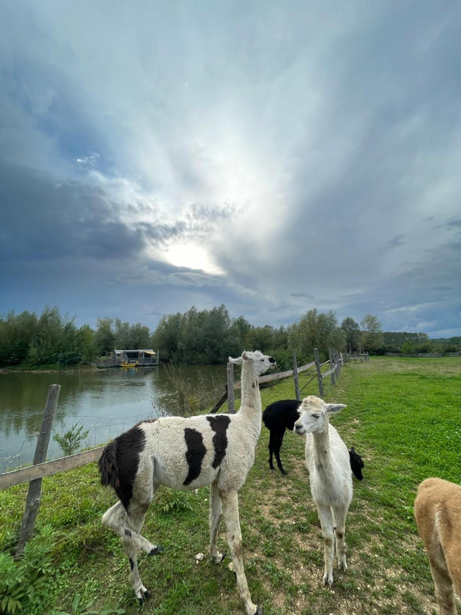 Lodges Des Grands Crus Chablis Dış mekan fotoğraf